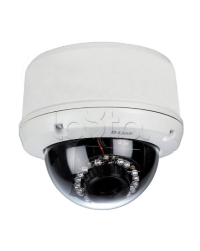 IP-камера видеонаблюдения уличная купольная D-Link DCS-6510/EP в Саранске IP-камеры Pintop.ru